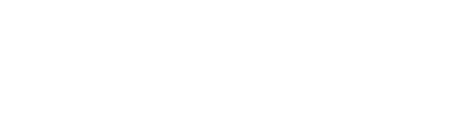 Logo oficial da KonSystem